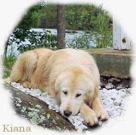 Kiana at Bobs Lake 2001.