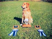Storm and Trophy.
